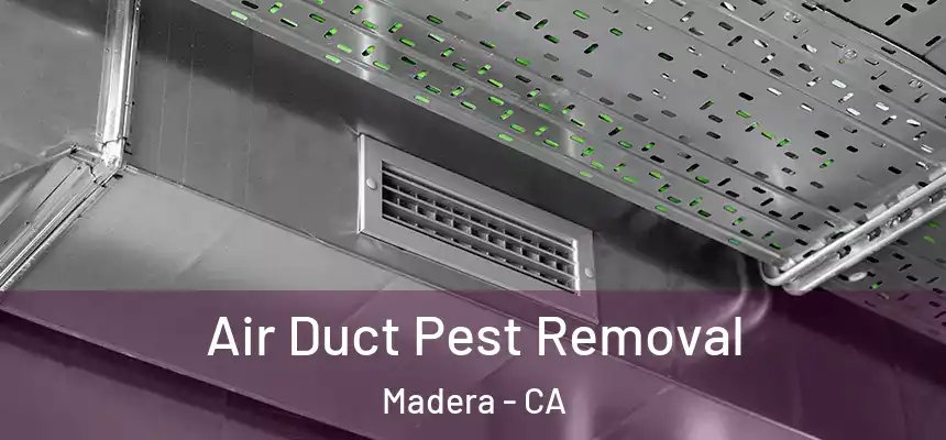 Air Duct Pest Removal Madera - CA