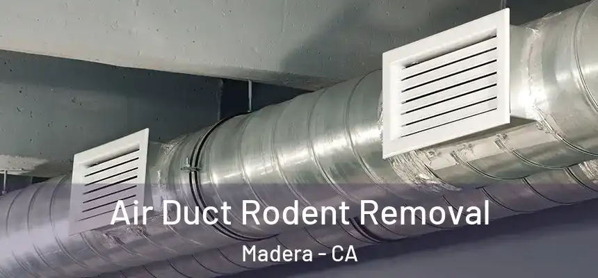 Air Duct Rodent Removal Madera - CA