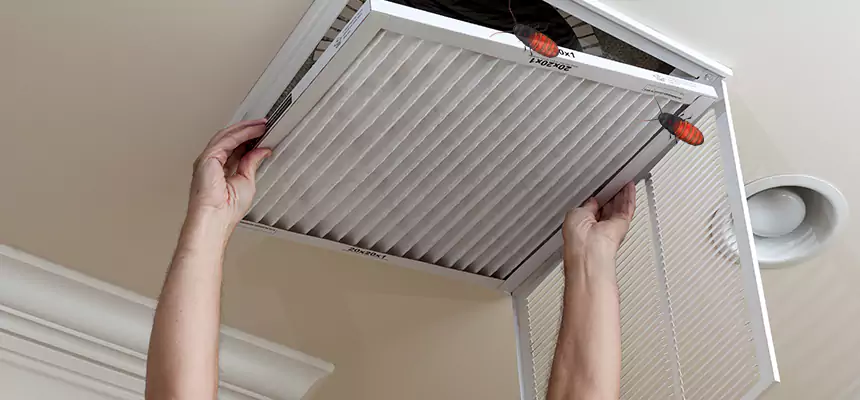 Preventive Cockroach-Proofing for Ducts in Madera