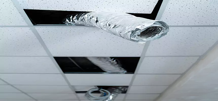 Affordable HVAC Sanitizing After Pest Removal in Madera