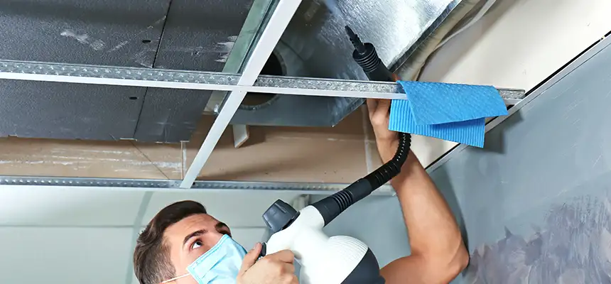 Our Air Duct Rodent Removal Services in Madera, CA