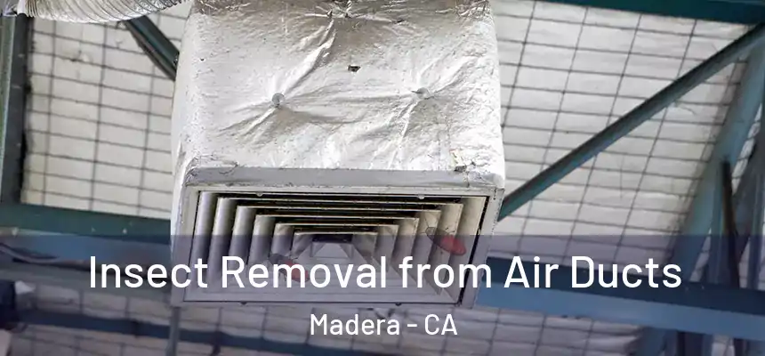  Insect Removal from Air Ducts Madera - CA