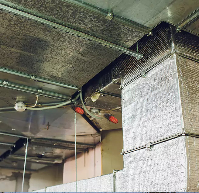 Why Homeowners & Businesses Trust Us in Madera, CA?